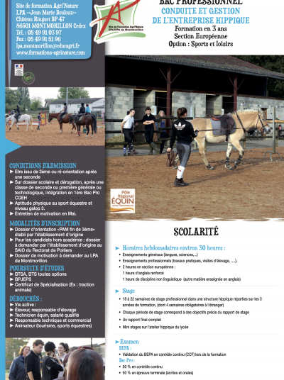 Brochure