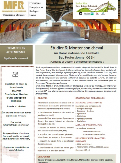 Brochure