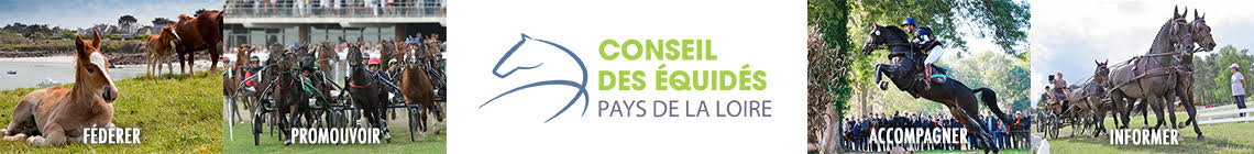 Conseil des équidés Pays de la Loire