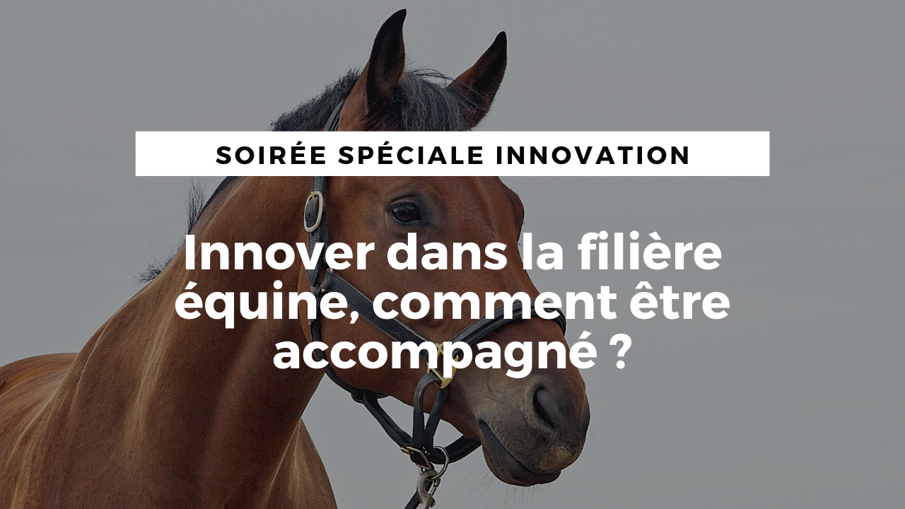 <REPLAY> Innover dans la filière équine, comment être accompagné ?