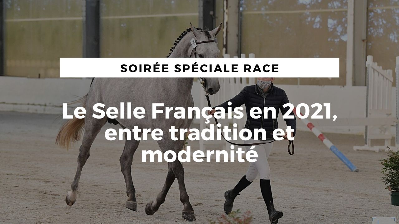 <REPLAY> Le Selle Français en 2021, entre tradition et modernité