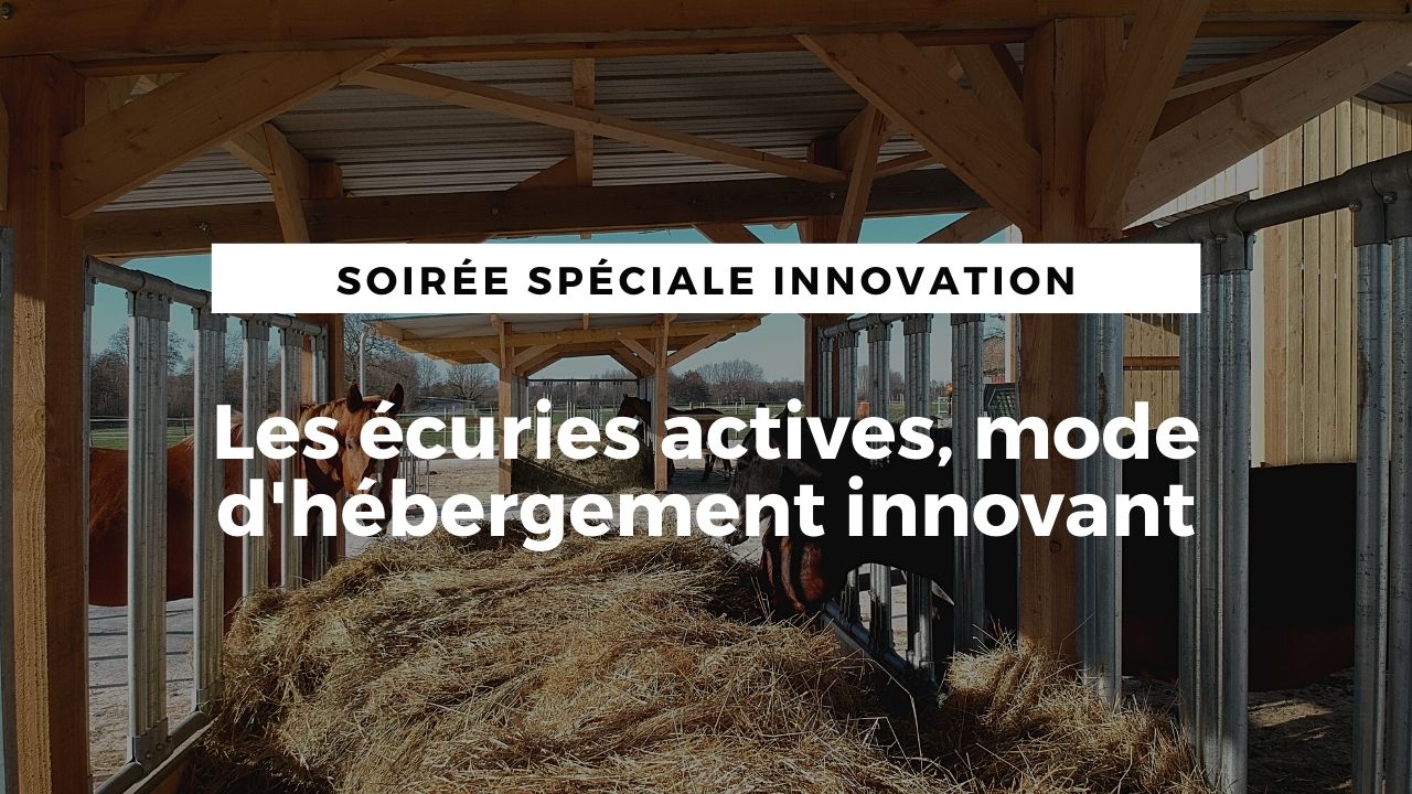 <REPLAY> Les écuries actives, mode d'hébergement innovant