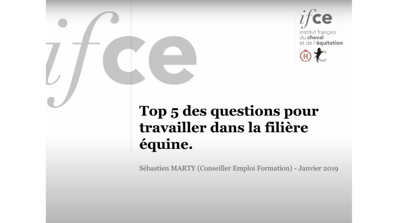 <REPLAY> Top 5 des questions pour travailler dans la filière équine