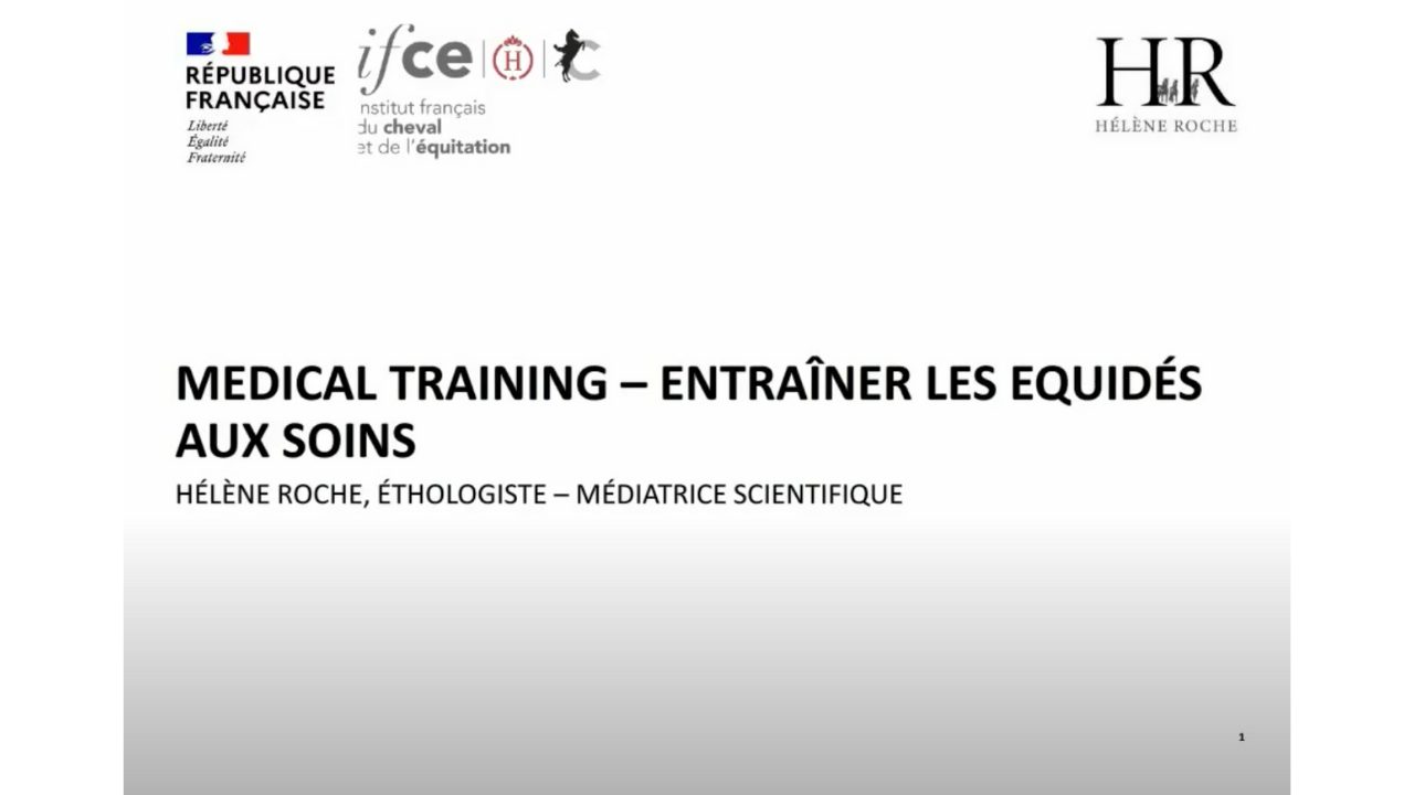 <REPLAY> Medical training : Entraîner les équidés aux soins - Hélène Roche