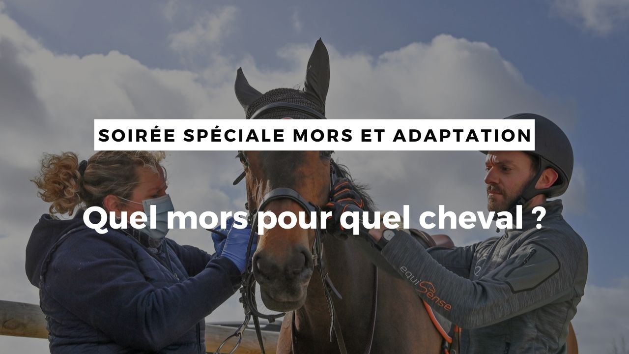 <REPLAY> Quel mors pour quel cheval ?