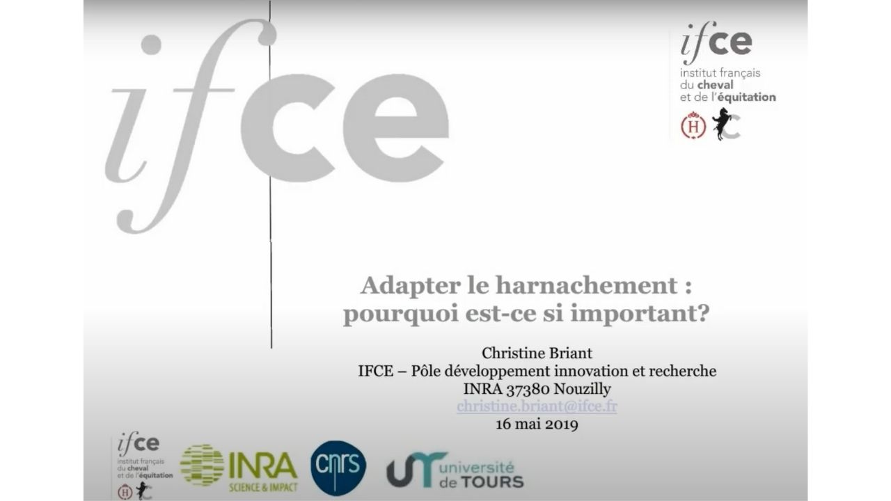 <REPLAY> Adapter le harnachement, pourquoi est ce si important