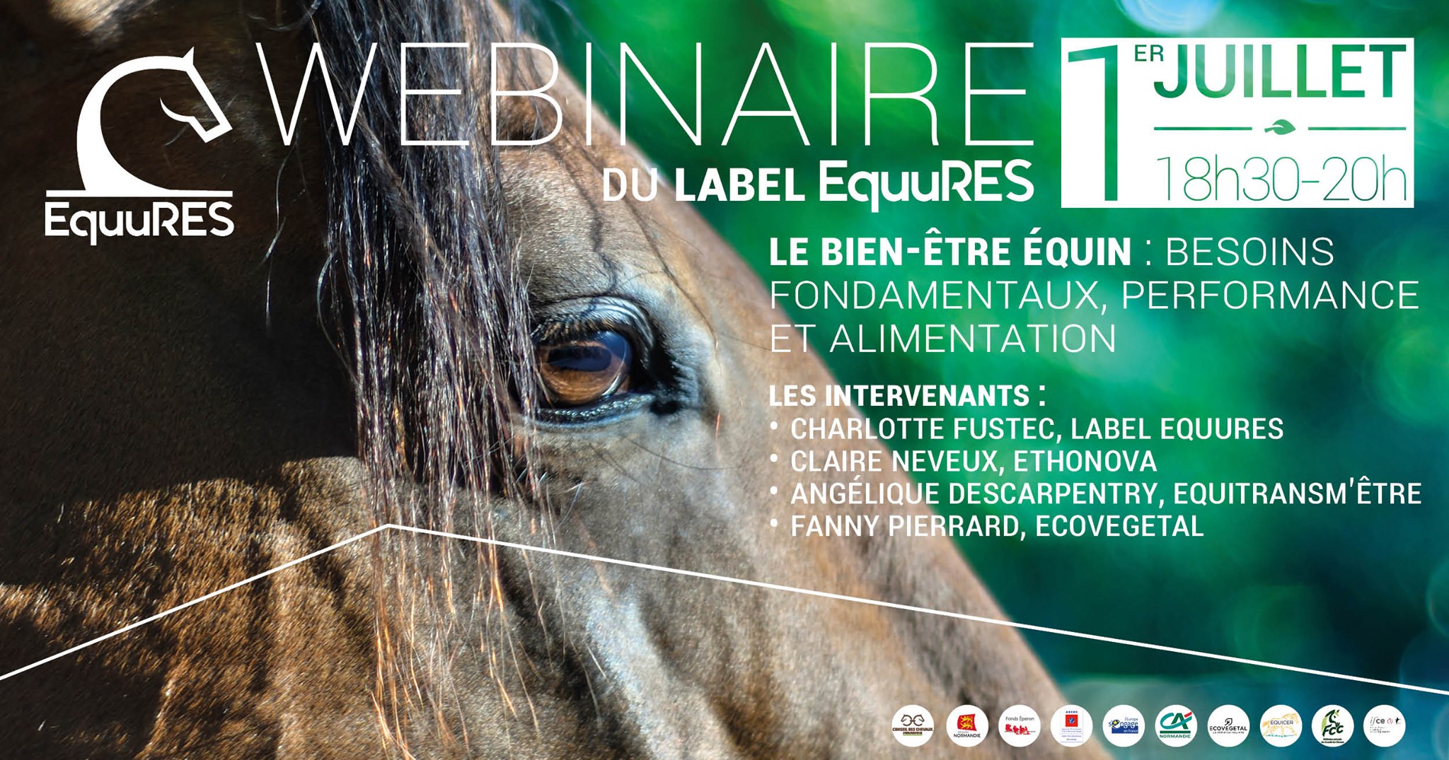 <REPLAY> Webinaire du label EquuRES : Le bien-être équin : besoins fondamentaux, performance et alimentation