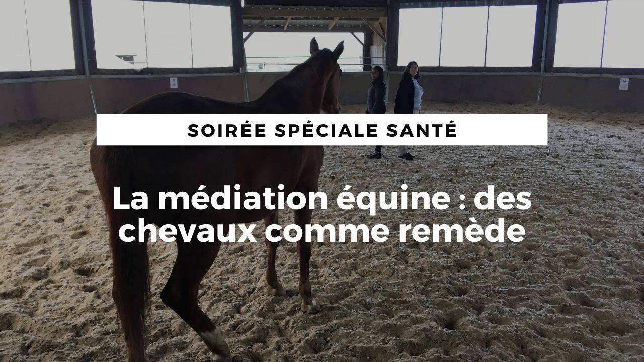 <REPLAY> La médiation équine : des chevaux comme remède