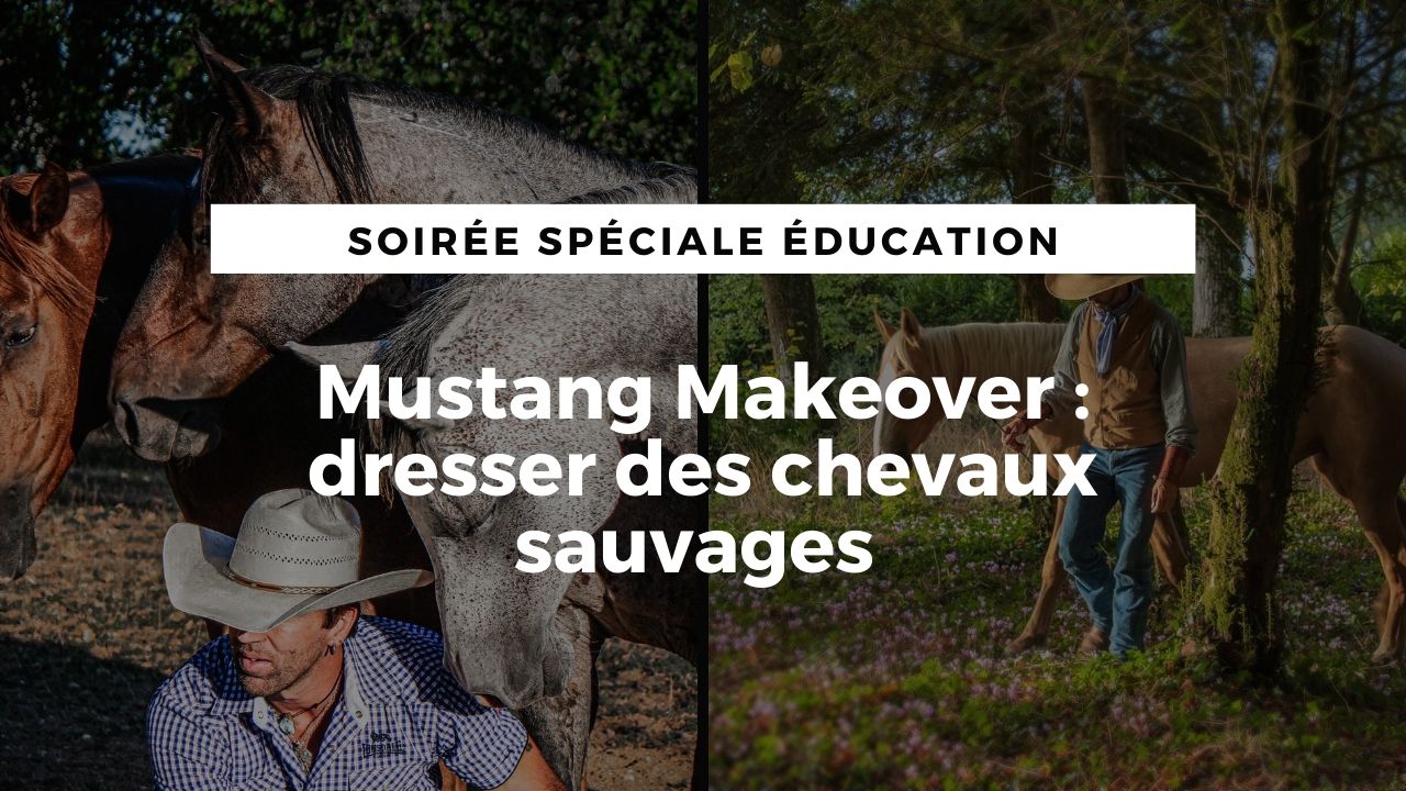 <REPLAY> Mustang Makeover : dresser des chevaux sauvages