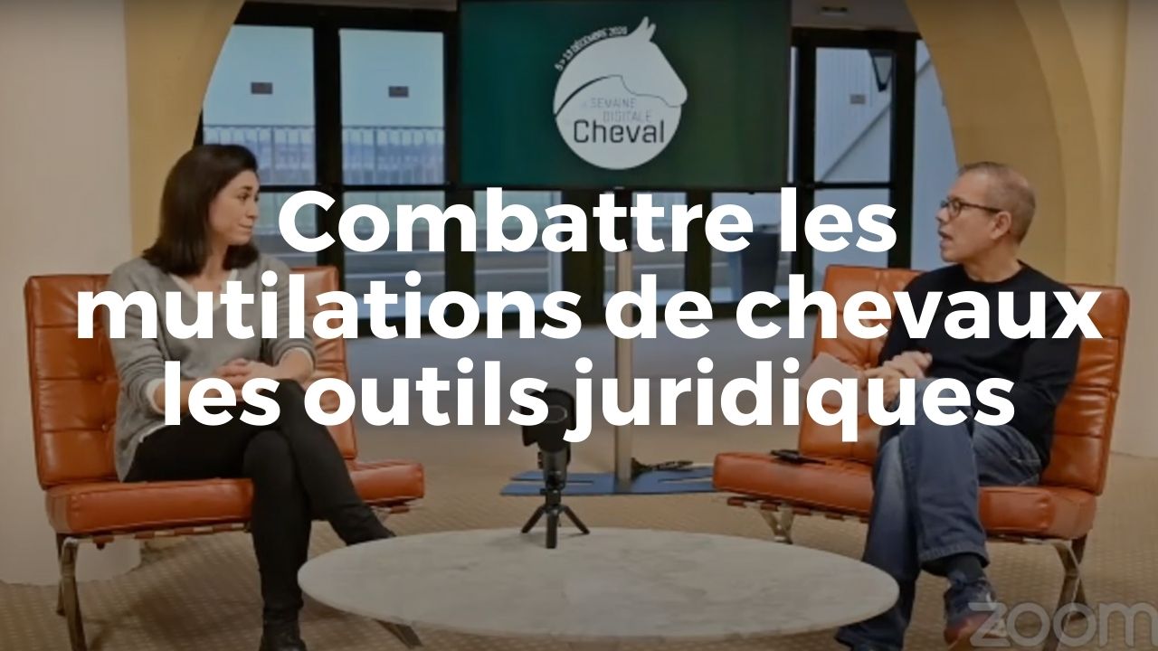 <REPLAY> Combattre les mutilations de chevaux - les outils juridiques