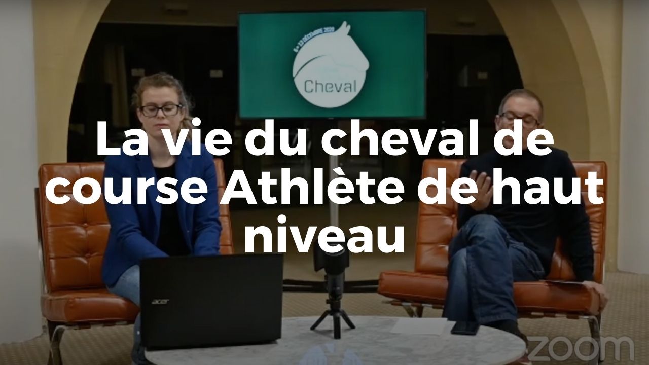 <REPLAY> La vie du cheval de courses - Athlète de haut niveau