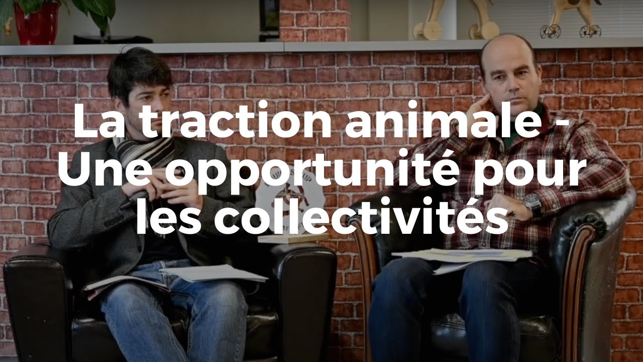 <REPLAY> La traction animale -  une opportunité pour les collectivités