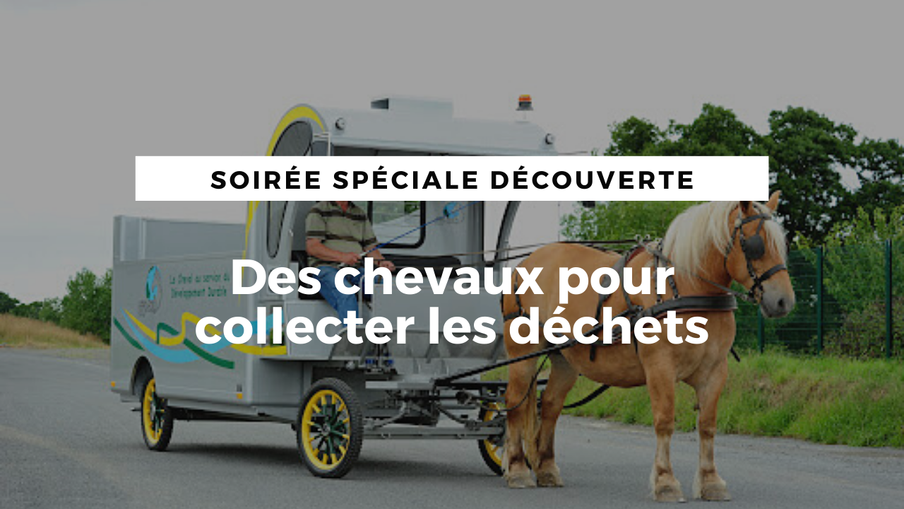 <REPLAY> Des chevaux pour collecter les déchets