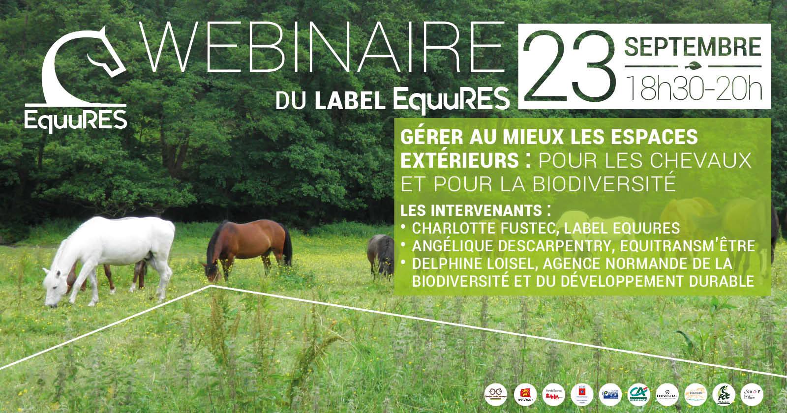 <REPLAY> Webinaire du label EquuRES: Gérer au mieux les espaces extérieurs, pour les chevaux & la biodiversité