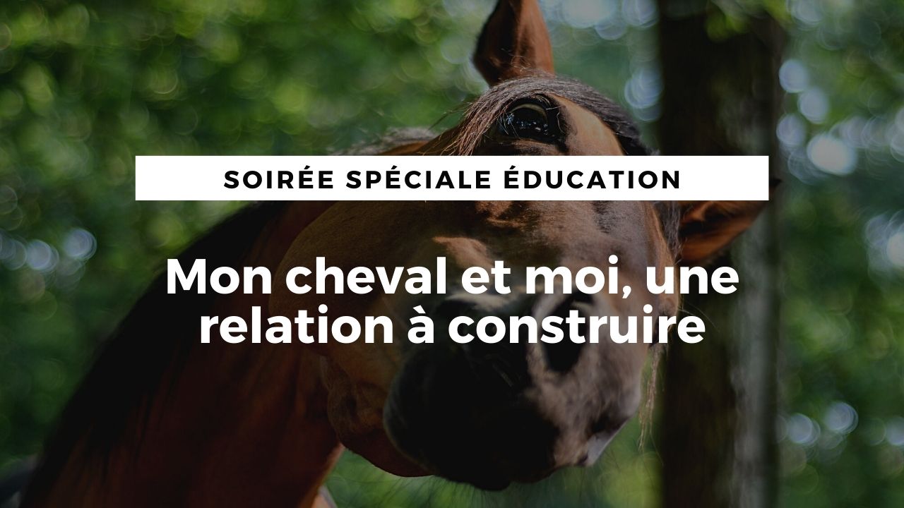 <REPLAY> Mon cheval et moi, une relation à construire