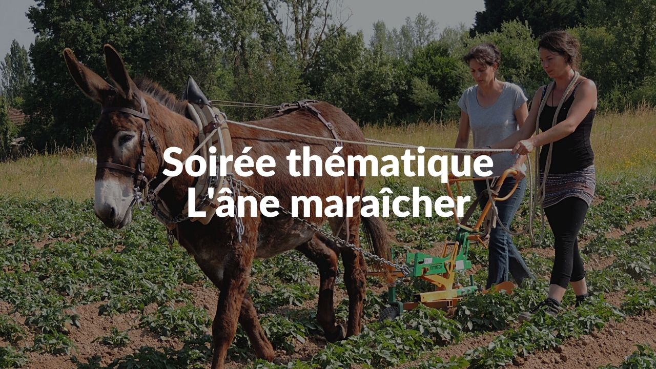 <REPLAY> Soirée thématique - L'âne maraîcher