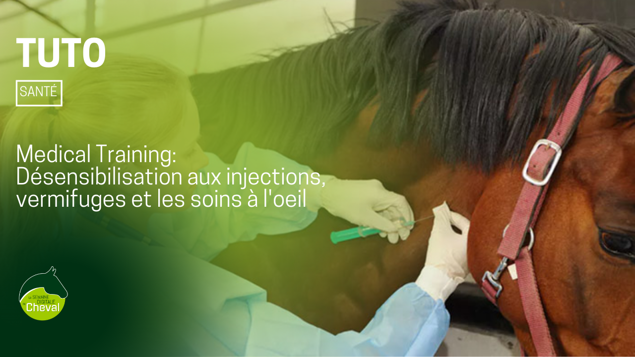 <REPLAY> TUTORIEL Medical Training #1 : désensibilisation aux injections