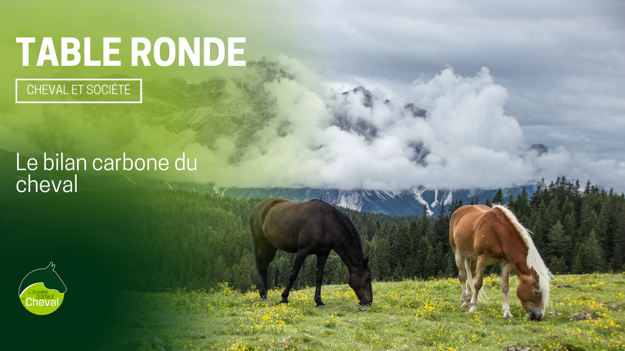 <REPLAY> TABLE RONDE : le bilan carbone du cheval