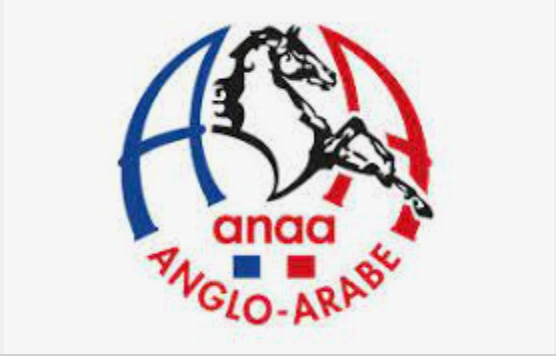 <REPLAY> L'Association Nationale Anglo Arabe