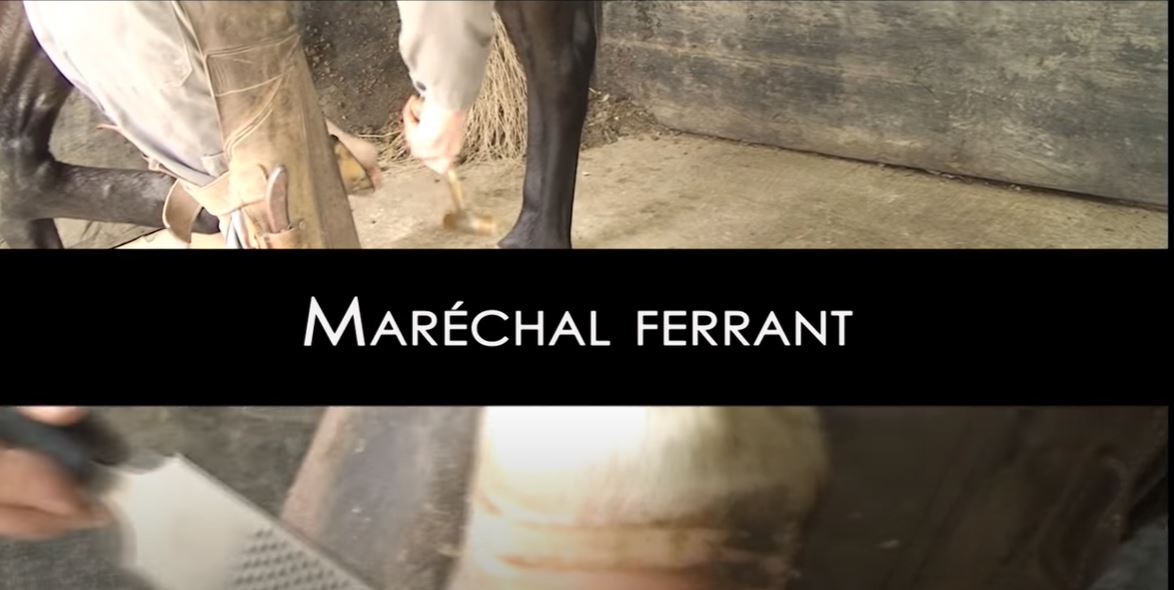 <REPLAY> Le métier de maréchal ferrant