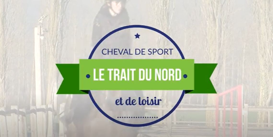 <REPLAY> Le Trait du Nord [sport et loisirs]