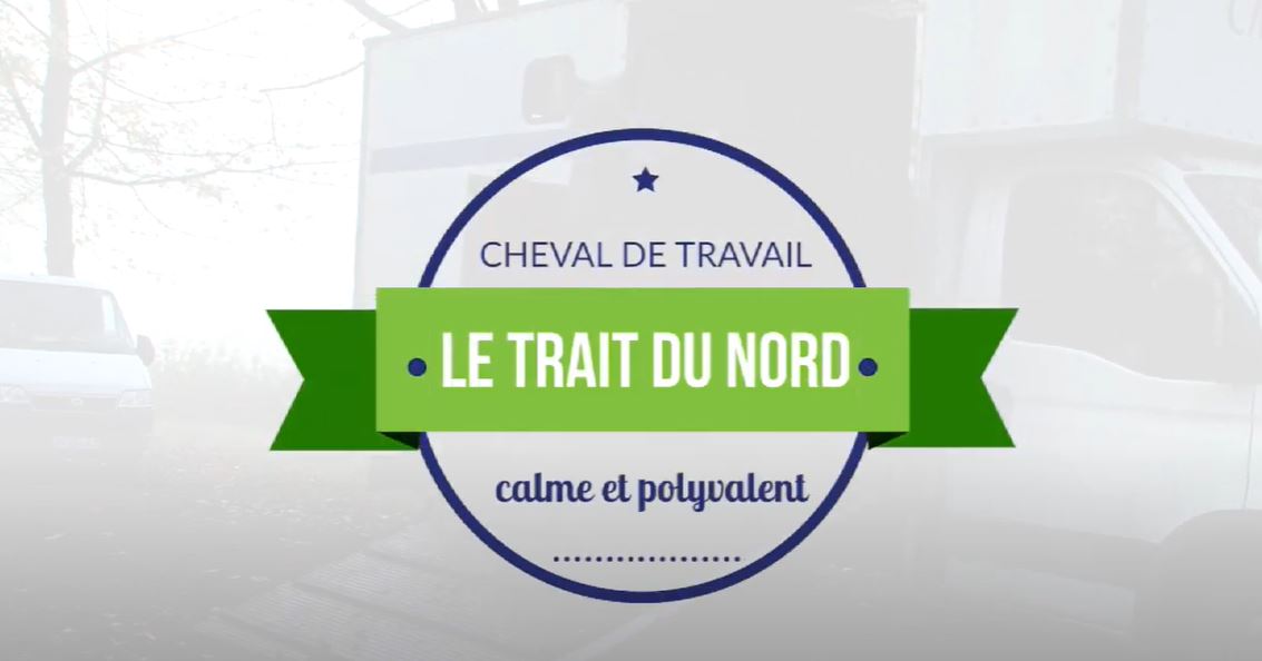 <REPLAY> Le Trait du Nord [travail]