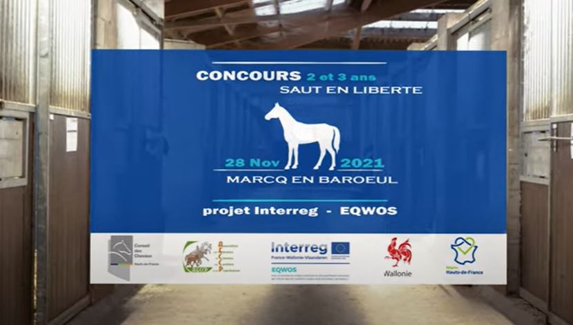 <REPLAY> Concours de saut en liberté - Poneys