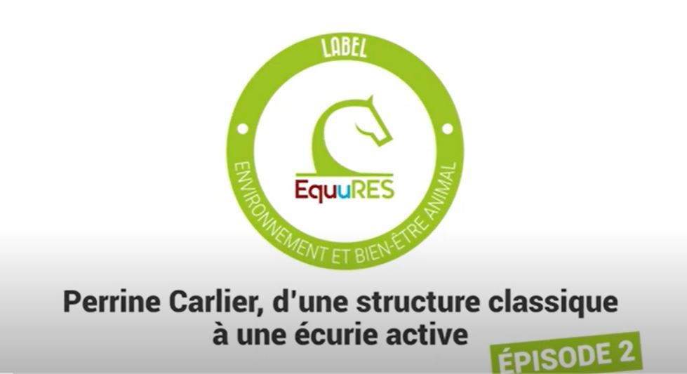 <REPLAY> Le label EquuRES chez Perrine Carlier [02]