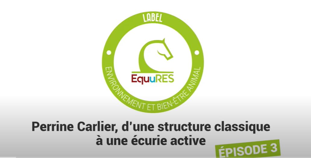 <REPLAY> Le label EquuRES chez Perrine Carlier [03]