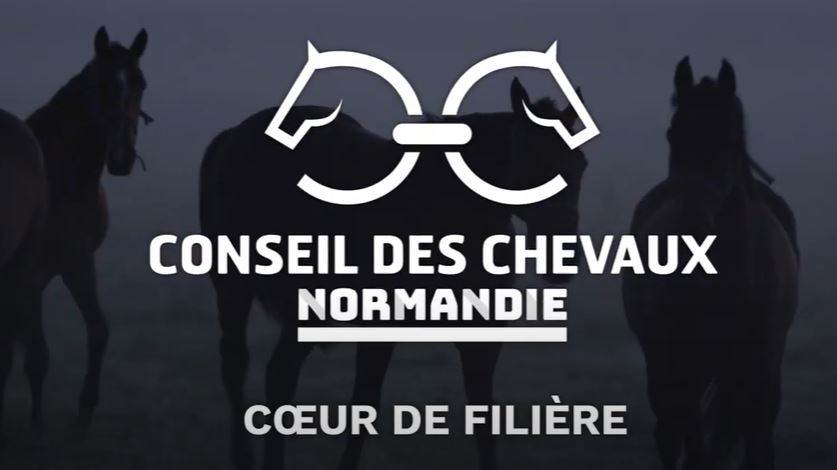 <REPLAY> La filière cheval en Normandie