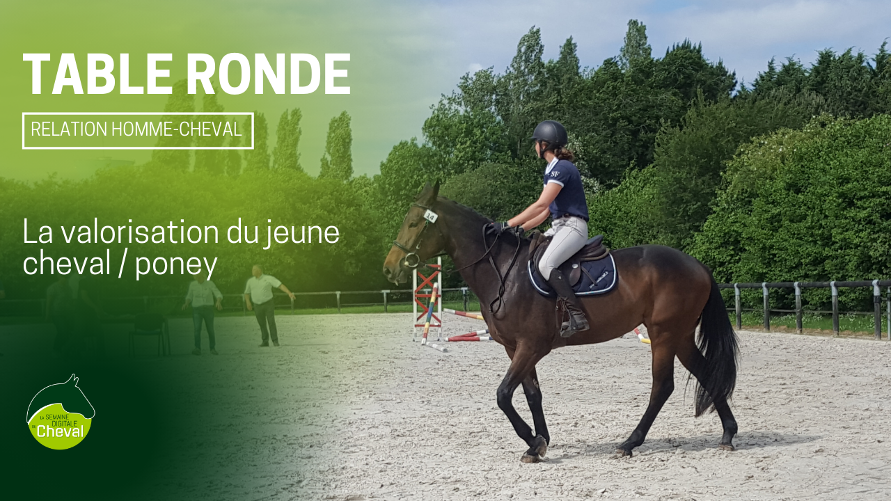 <REPLAY> TABLE RONDE La valorisation des jeunes chevaux et poneys