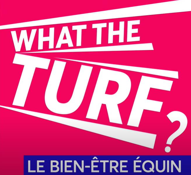 <REPLAY> - WHAT THE TURF ? Le bien-être équin