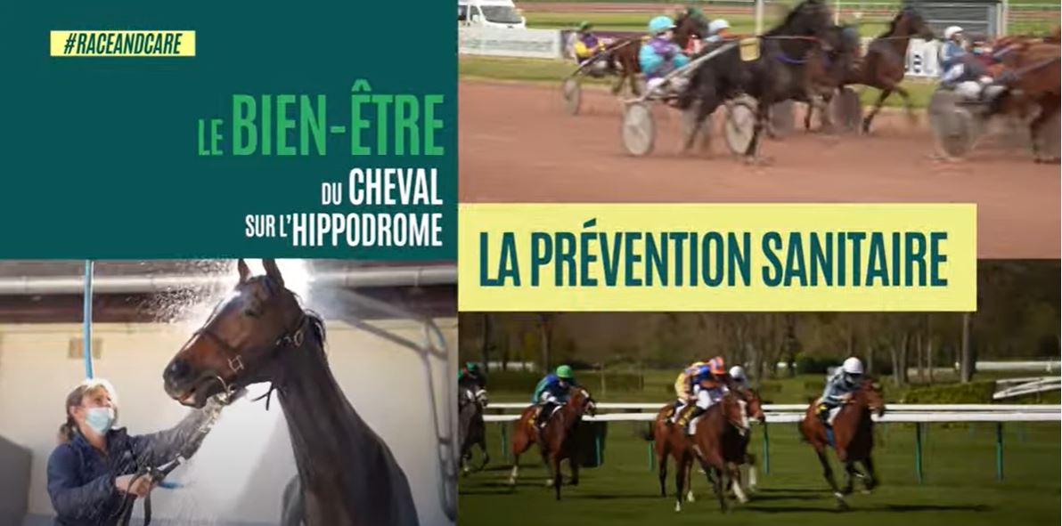 <REPLAY> - Le Bien-Etre du Cheval sur l’Hippodrome