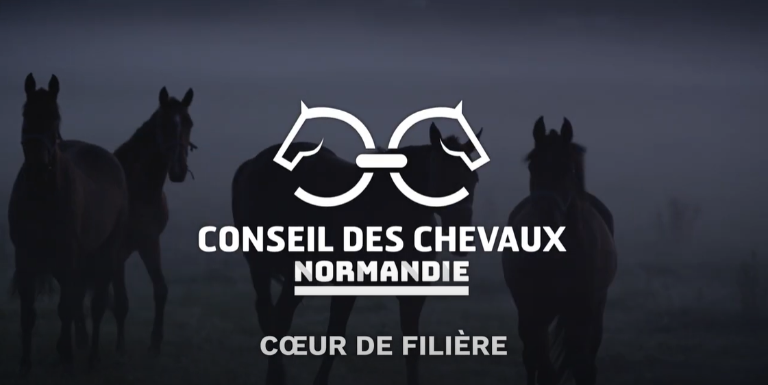 <REPLAY> Conseil des chevaux de Normandie