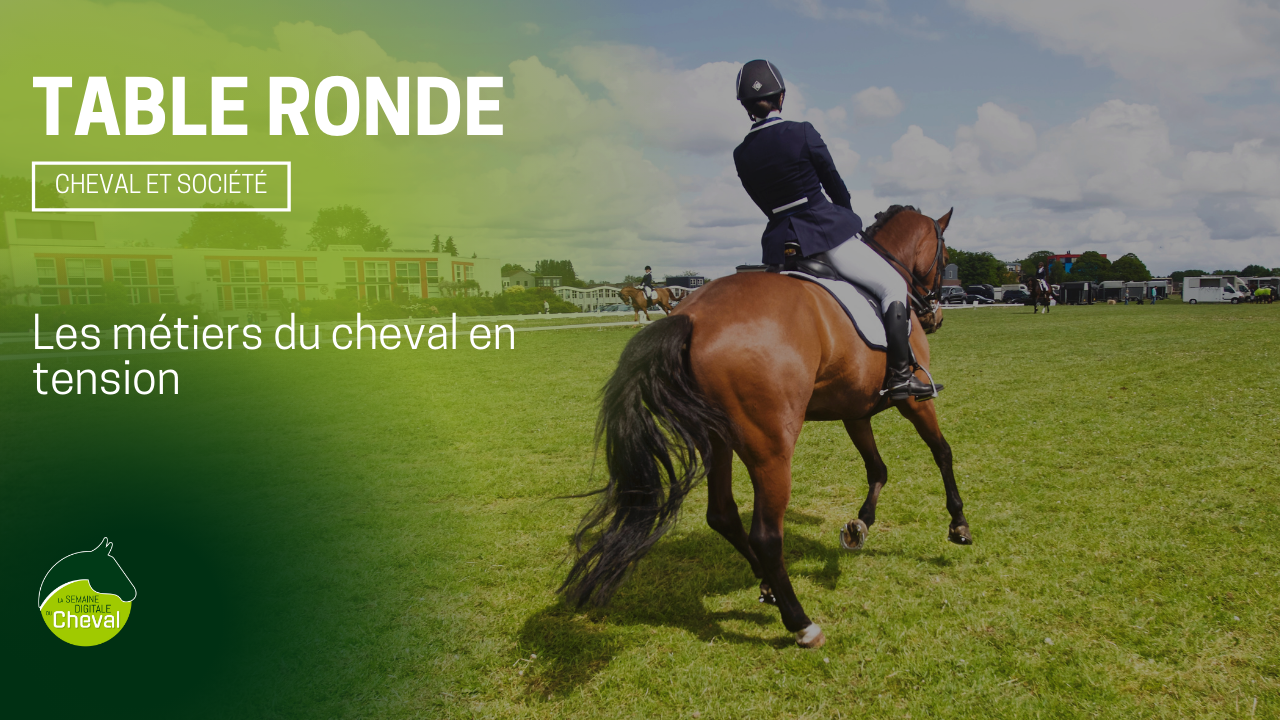 <REPLAY> TABLE RONDE # Le Cheval recrute !