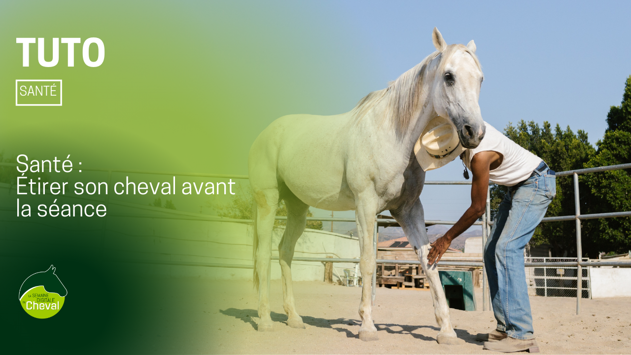 <REPLAY> TUTORIEL Etirer son cheval avant la séance #3 garrot/encolure