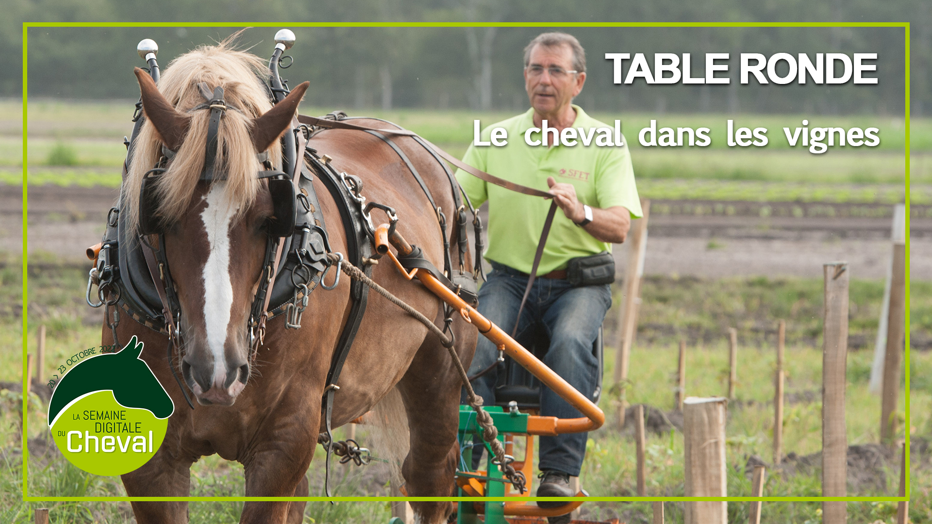 <REPLAY> Le cheval dans les vignes