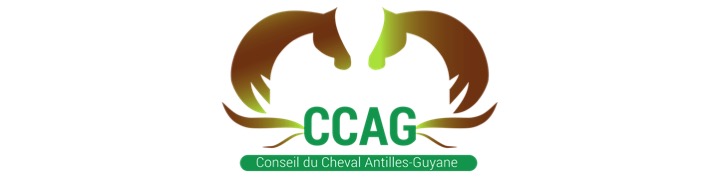 Conseil des Chevaux Antilles Guyane